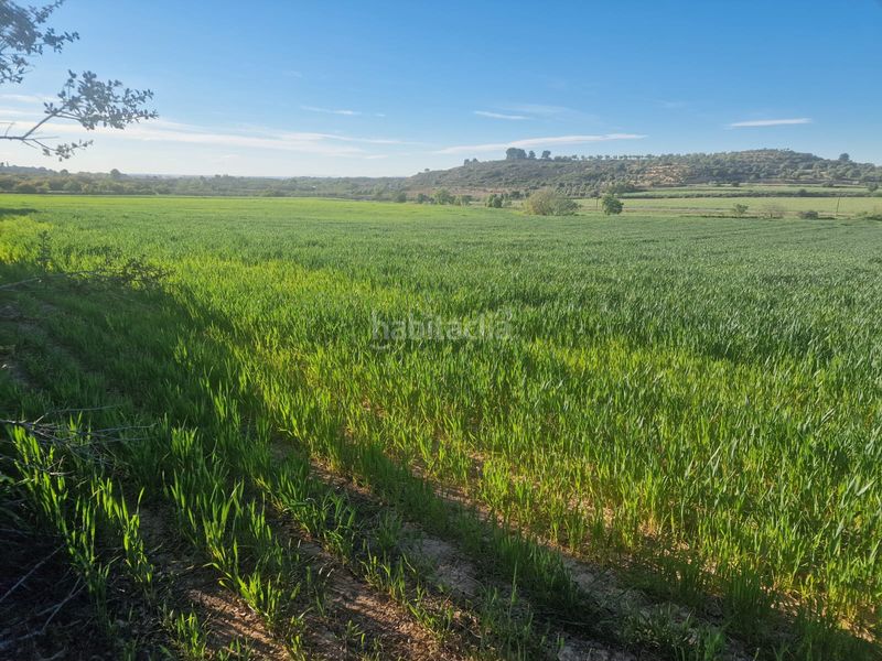 Foto bbb63855-0bc6-447a-9ff5-5b17434a3ed7. Finca rústica a Borges Blanques (Les)