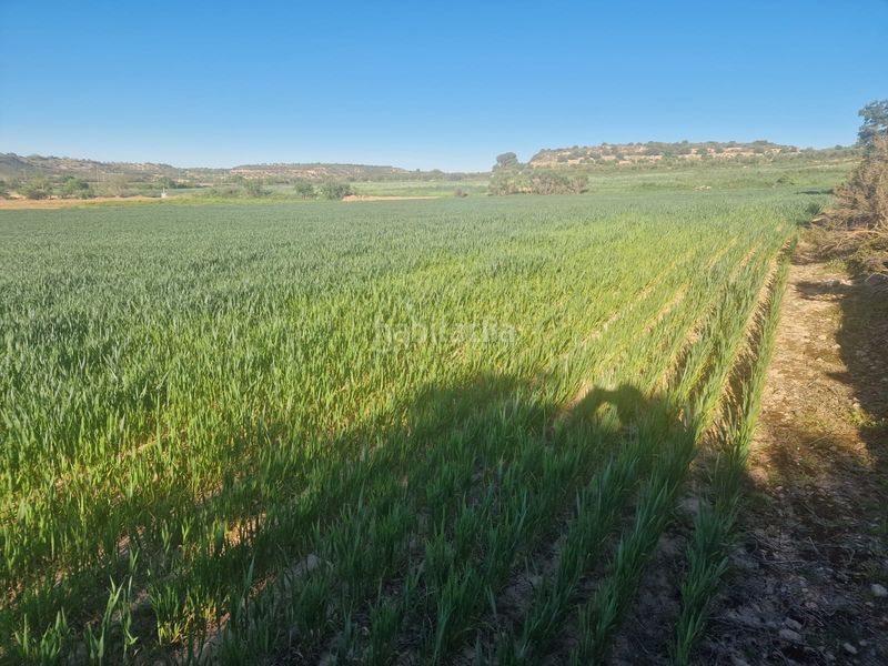 Foto df713953-0f17-409e-8a80-1ca0831c1292. Finca rústica a Borges Blanques (Les)