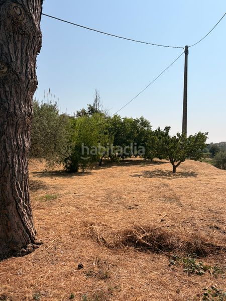 Foto 18d8b582-1f76-45f2-abe6-9a939423bb41. Finca rústica a Borges Blanques (Les)