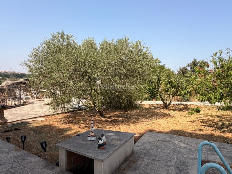 Foto 7fca0c83-5d87-4fe5-afd8-f36623e15334. Finca rústica a Borges Blanques (Les)