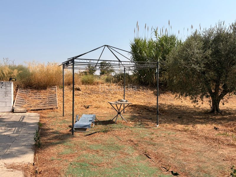 Foto 8bf1d038-5b39-44ff-9537-1e86a30f375c. Finca rústica a Borges Blanques (Les)