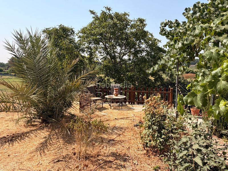 Foto e622b4ca-da15-419e-b5be-8503df11ec3c. Finca rústica a Borges Blanques (Les)