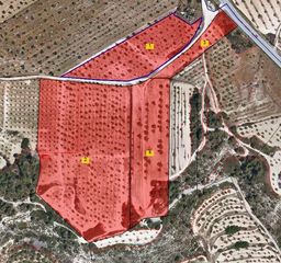 Landgut in Albi (L´). Finca de regadiu per gota a gota, d'ametllers en plena producció
