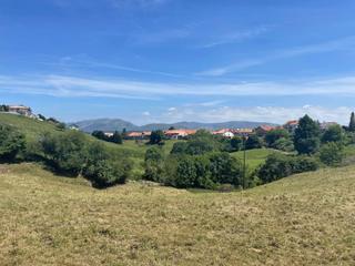 Terreny residencial  Llarinero. Finca con parte rústica y parte urbana en la hayuela
