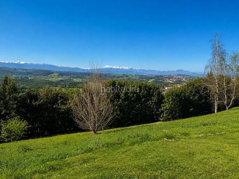 Foto f5886cfc-6503-48eb-af51-4ec6193edcb2. Terreny residencial a Ruiloba