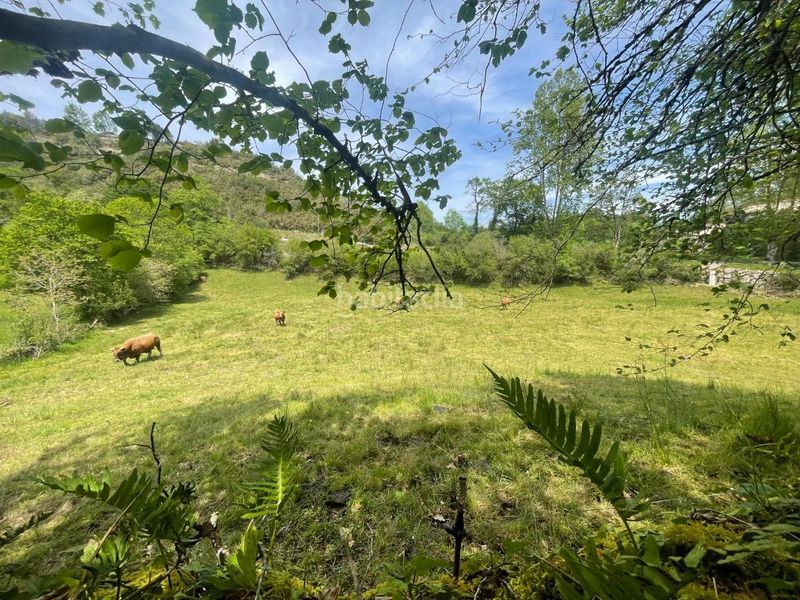 Foto 963b2cb8-6094-4426-9963-d944fb8699e3. Terreno residencial terreno rustico edificable en roiz valdaliga en Valdáliga