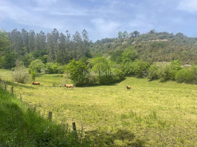 Foto 9b3ce423-66c4-490b-9799-0ca1df1a60d8. Terreno residencial terreno rustico edificable en roiz valdaliga en Valdáliga