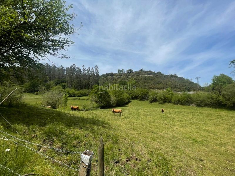 Foto bfde8b3d-9a44-4389-8dd5-c9ae5549afe6. Terreno residencial terreno rustico edificable en roiz valdaliga en Valdáliga