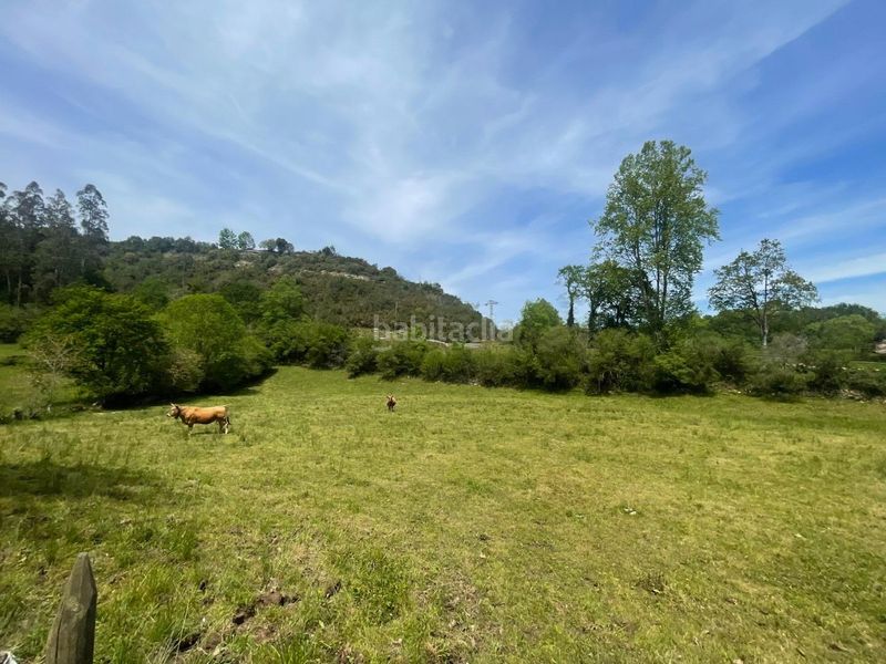 Foto bfffa773-d1be-4ab0-ac14-9d8177edf2a4. Terreno residencial terreno rustico edificable en roiz valdaliga en Valdáliga