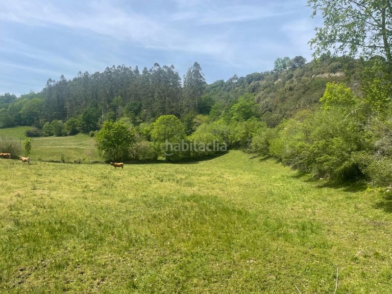 Foto e948b823-0120-4418-89f0-13562f64e483. Terreno residencial terreno rustico edificable en roiz valdaliga en Valdáliga