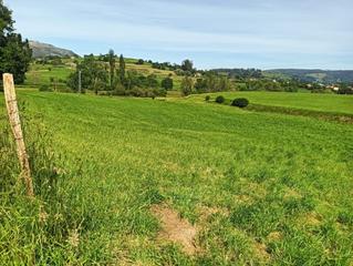 Propriété à Penagos. Terreno rustico junto al parque natural de cabarceno