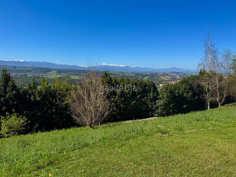 Foto a4905c81-0d5d-4b10-8563-26733e5202bf. Terreny residencial a Ruiloba