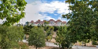 Lloguer Pis  Calle eusebio gonzález suárez. Parquesol, vivienda en alquiler, muy buen estado.