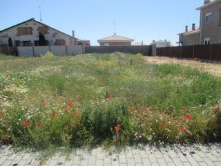Terreny residencial a Peñaranda de Bracamonte. Se vende solar urbano de 514 m2 en peñaranda