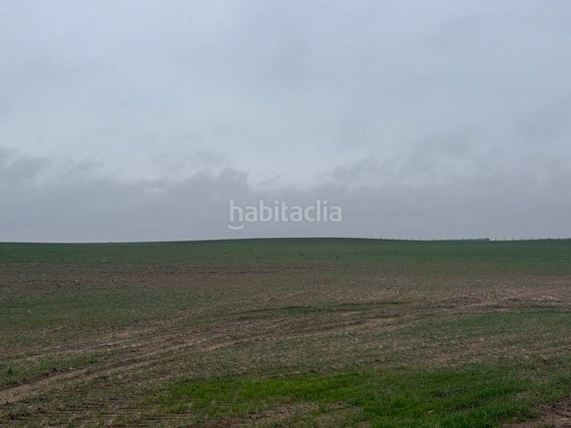 Foto 1a5cf63e-cae8-4e1a-8843-930397ba58ec. Finca rústica a Cantalapiedra