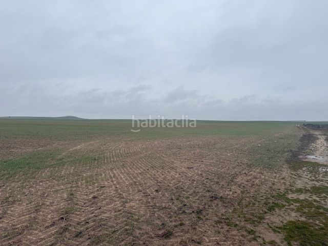 Foto 3998cf81-b104-496f-b4eb-7920d7aa2b96. Finca rústica a Cantalapiedra