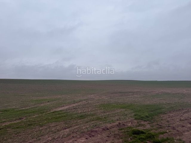 Foto 44b7adf7-3ef5-4511-ab6b-e1ce33c34c9f. Finca rústica a Cantalapiedra