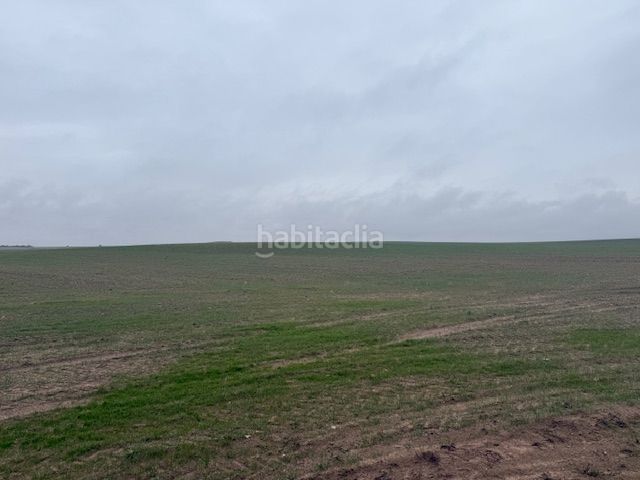 Foto 4f5343f3-7a13-4ae3-b227-99c6b5233a91. Finca rústica a Cantalapiedra