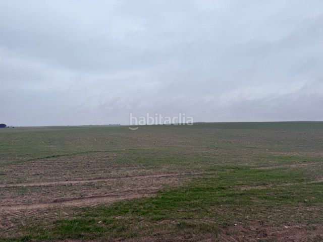 Foto 54fdd61e-8206-4de8-b000-09c14b37f15b. Finca rústica a Cantalapiedra