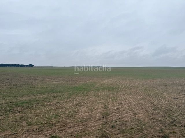 Foto 7d290f87-d878-4023-a245-ed295cafcbe7. Finca rústica a Cantalapiedra