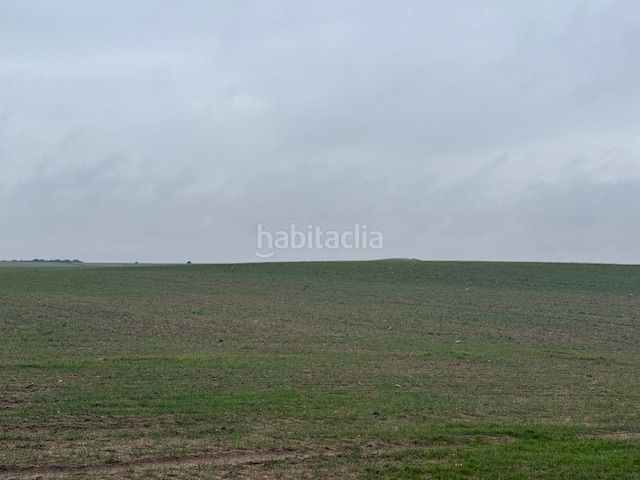 Foto b493d49d-8d8b-4a9f-a9c2-16d0667210d0. Finca rústica a Cantalapiedra