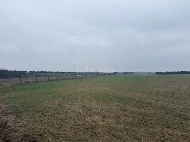 Foto e1749548-57cb-4104-929f-64fca2ad824c. Finca rústica a Cantalapiedra