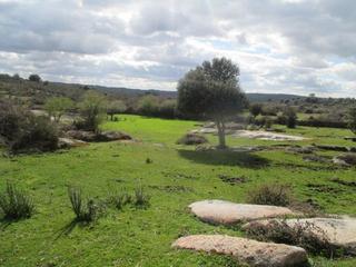Masia a San Felices de los Gallegos. Se vende finca ganadera san felices de los gallegos
