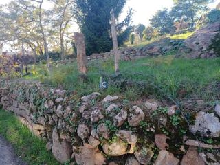 Finca rústica a Toén