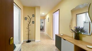 Location Appartement à General Dávila. Piso de temporada para estudiantes 3dormitorios
