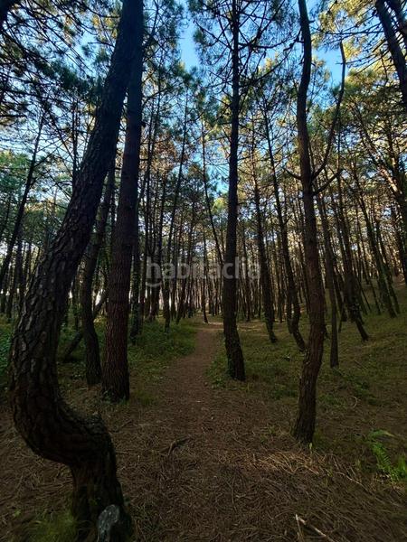 Foto d76dcfce-7e4b-49e5-afeb-c721771d551c. Location maison avec chauffage dans Boo Piélagos