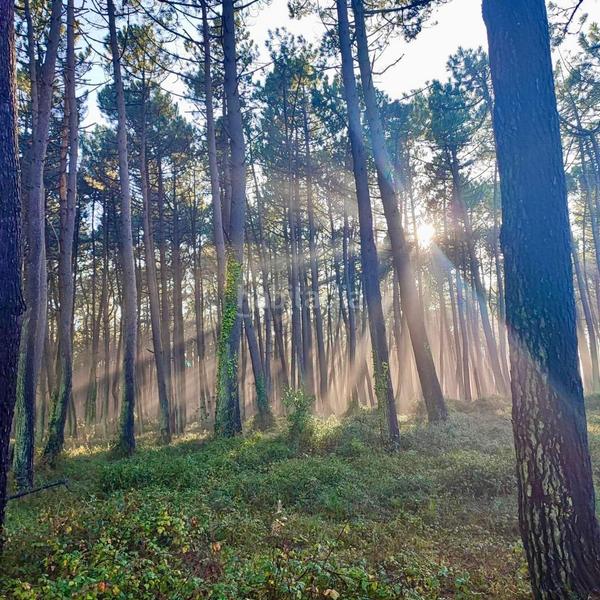 Foto eb2a0a5f-b292-4bf2-9357-c094a62d9786. Location maison avec chauffage dans Boo Piélagos