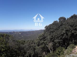 Finca rústica  Orenetes. Parcela edificable en serra brava