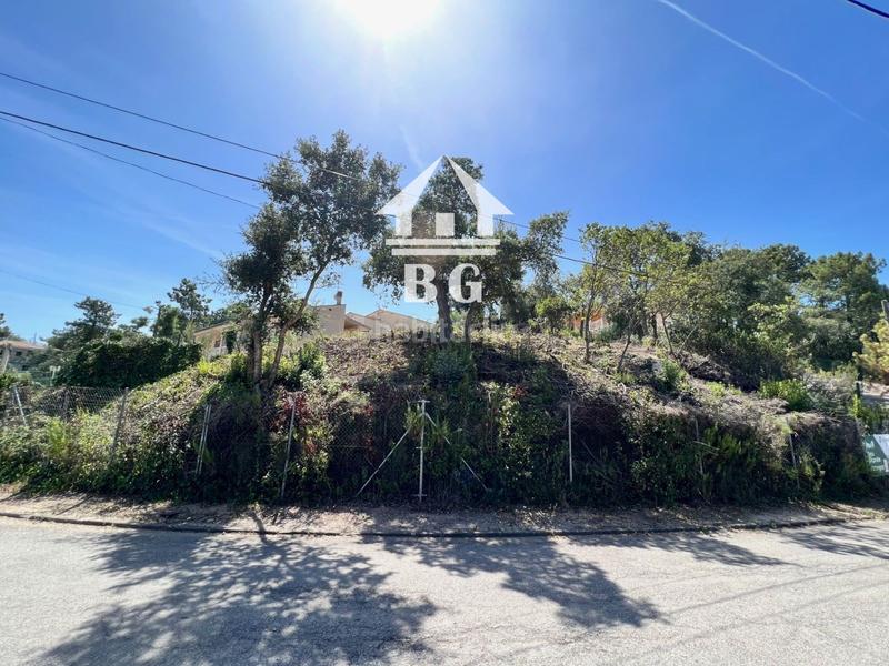 Foto 582064bf-626b-455d-85bf-03fa8876560c. Fondo rustico in cerdanya 19 in Lloret Blau - La Creu de Lloret Lloret de Mar