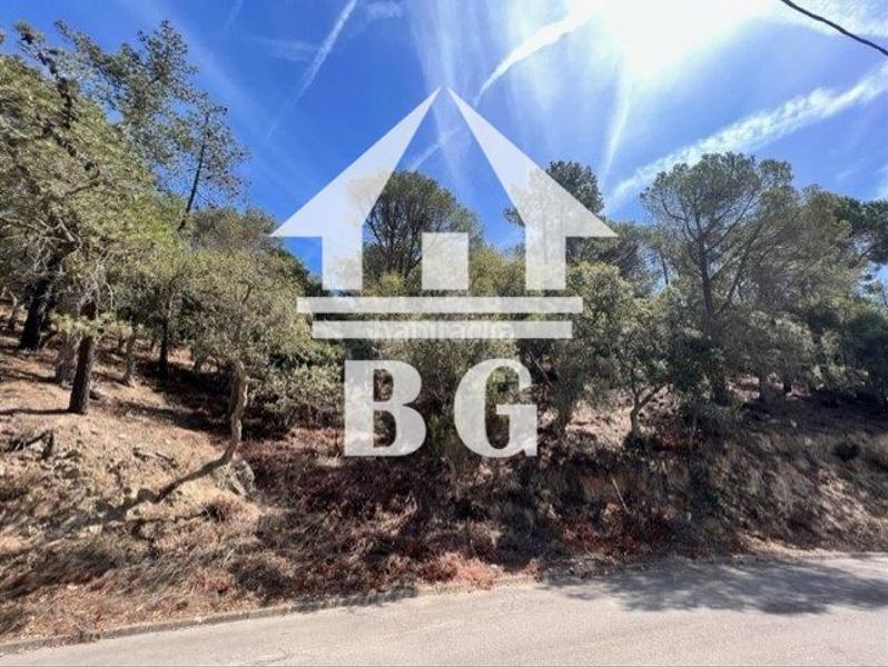 Foto 1b4e839c-3f08-4e75-bd1c-52ff5a77261b. Propriété dans orenetes 51 dans Serra Brava Lloret de Mar