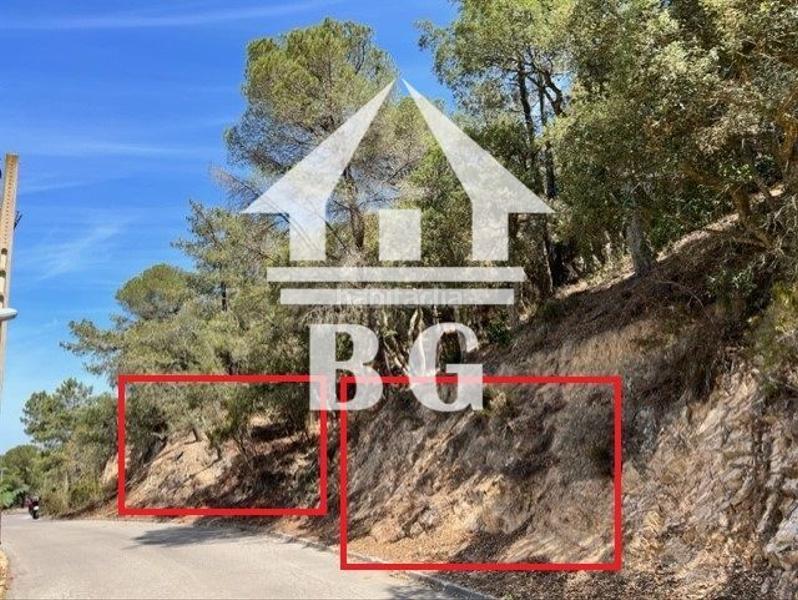 Foto c5706cbf-6899-4080-9af1-2a5d996434b9. Propriété dans orenetes 51 dans Serra Brava Lloret de Mar