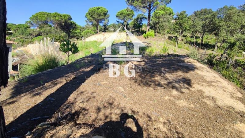Foto 8aea72ea-fd79-4a91-9ea9-e151b0e8f621. Finca rústica solar para edificar vivienda unifamiliar con excelentes vistas en lloret residencial !! en Lloret de Mar