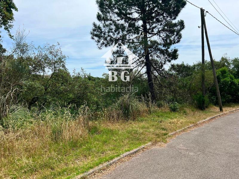 Foto 8b0893f4-5706-4b5c-be0c-63cce6c24948. Finca rústica en venta conjunto de 17 parcelas para vivienda unifamiliar en urb. lloret blau !! en Lloret de Mar