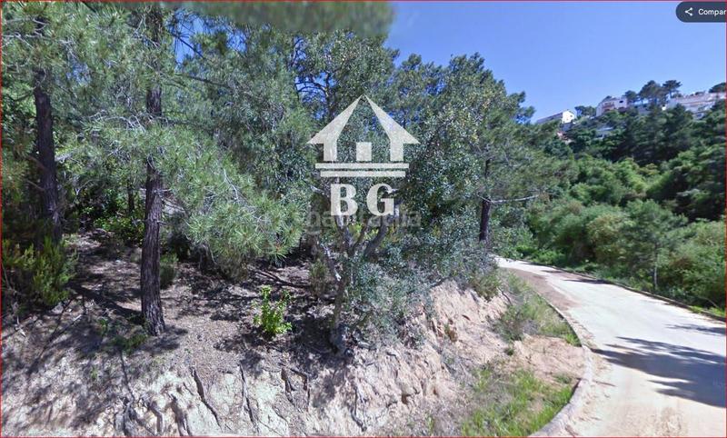 Foto c874878b-5ae4-47c0-b636-4269d7c0456c. Finca rústica en venta conjunto de 17 parcelas para vivienda unifamiliar en urb. lloret blau !! en Lloret de Mar