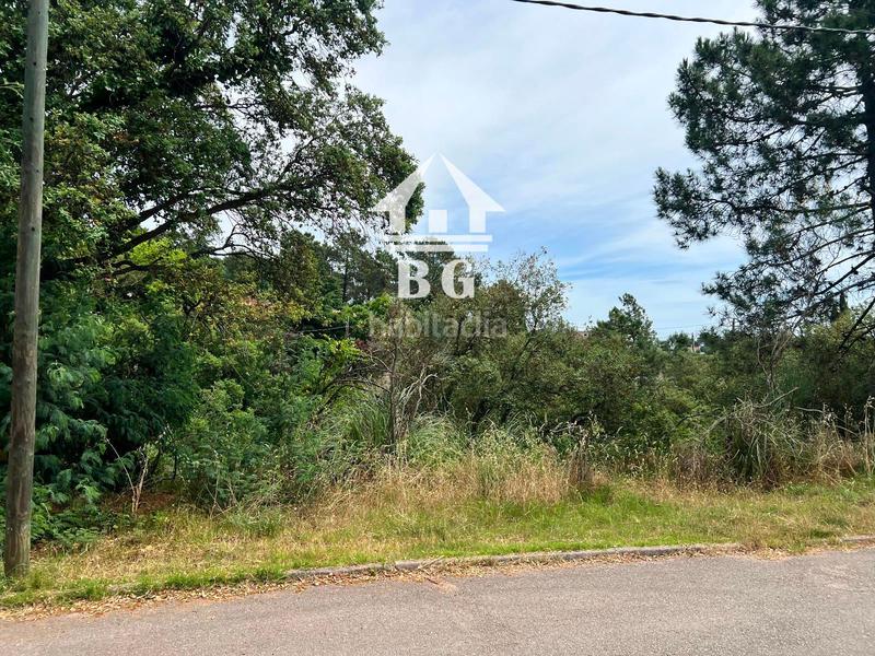 Foto 2d6c7618-170b-4389-8694-0cad693c088a. Finca rústica en venta parcela urbana en lloret blau !! en Lloret de Mar