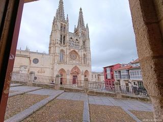Appartement  Plaza santa maria. Plaza de santamaria la catedral