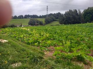 Landgut in Porceyo