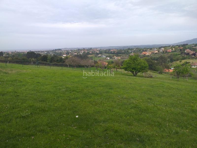 Foto cbd34ee8-c3ae-43d9-b962-78d6fdc430c0. Terreny residencial a La Pedrera Gijón