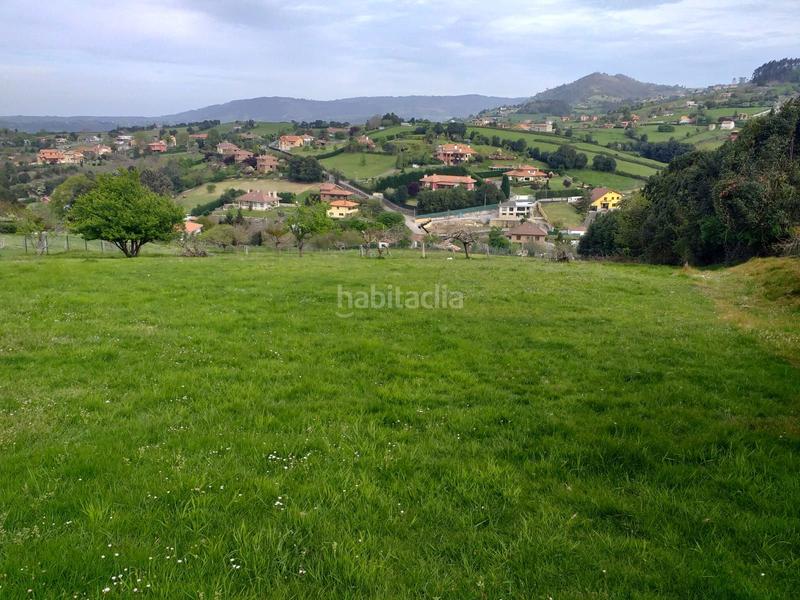 Foto d1e17136-d234-4723-83a9-20068e2bd804. Terreny residencial a La Pedrera Gijón