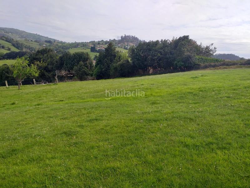 Foto 27c5e0a5-0921-4d86-8350-502f599726d8. Terreno residenziale in La Pedrera Gijón