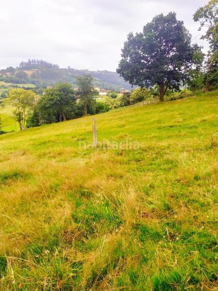 Foto f40e764d-07e8-4e94-a7ed-39677f953077. Terreny residencial a La Pedrera Gijón