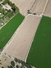 Finca rústica  Barrio el palmeral-poligono. Terreno rústico con más de 4.000m2 en callosa de segura carreter