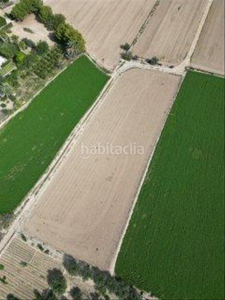Foto 067bdd94-3789-4382-8a72-b58914d29712. Rural plot in Callosa de Segura
