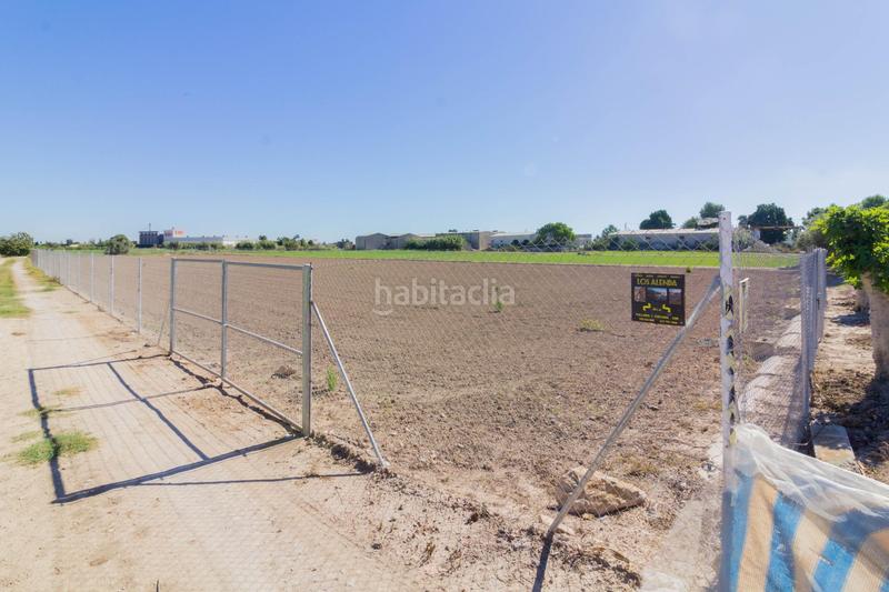 Foto b27531d9-7f4f-4924-8188-4f9006a0c351. Rural plot in Callosa de Segura