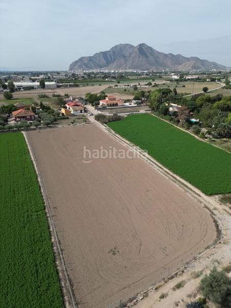 Foto b9be49c0-28c8-411b-b869-58a5f1bace19. Rural plot in Callosa de Segura