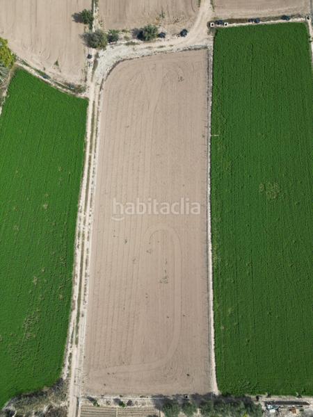 Foto cf72b9a0-2067-428f-abdd-9fb8afc12501. Rural plot in Callosa de Segura